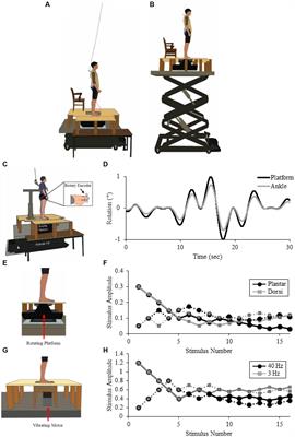Effects of postural threat on perceptions of lower leg somatosensory stimuli during standing